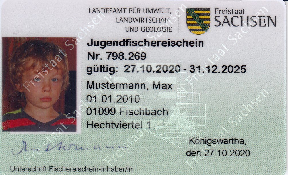 angelschein online ohne prüfung